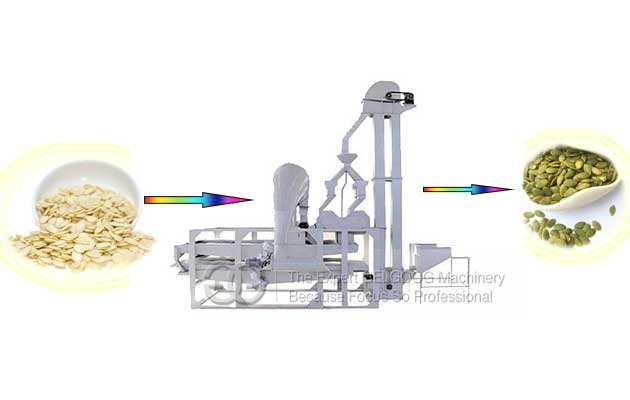 pumpkin seed shelling machine